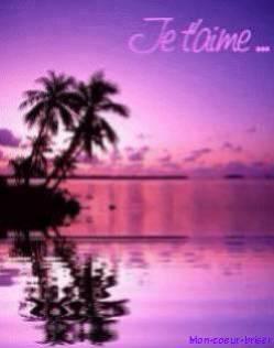 je t'aime